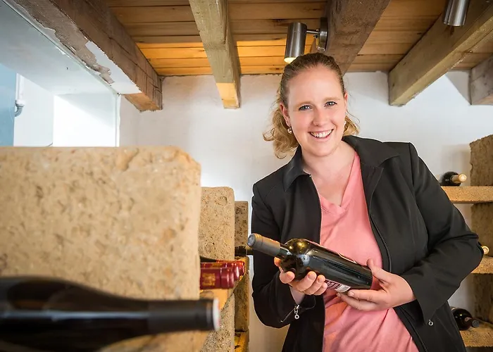 Hof Veldink Hotel 3*